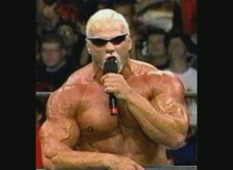 The Great Steiner Debate