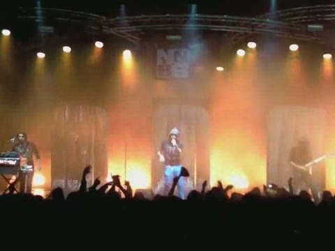 Paléo 09 - Naive New Beaters Live!