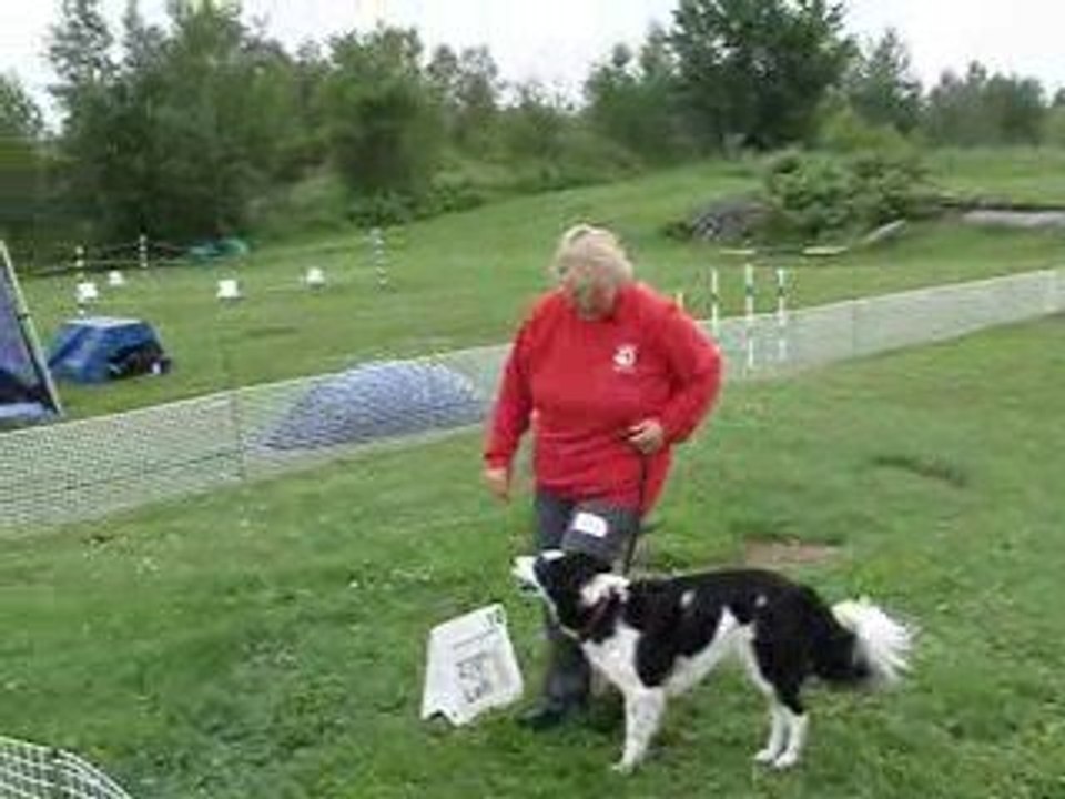 Tamy Rally O novice 2