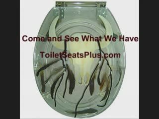 Decorative Toilet Seats