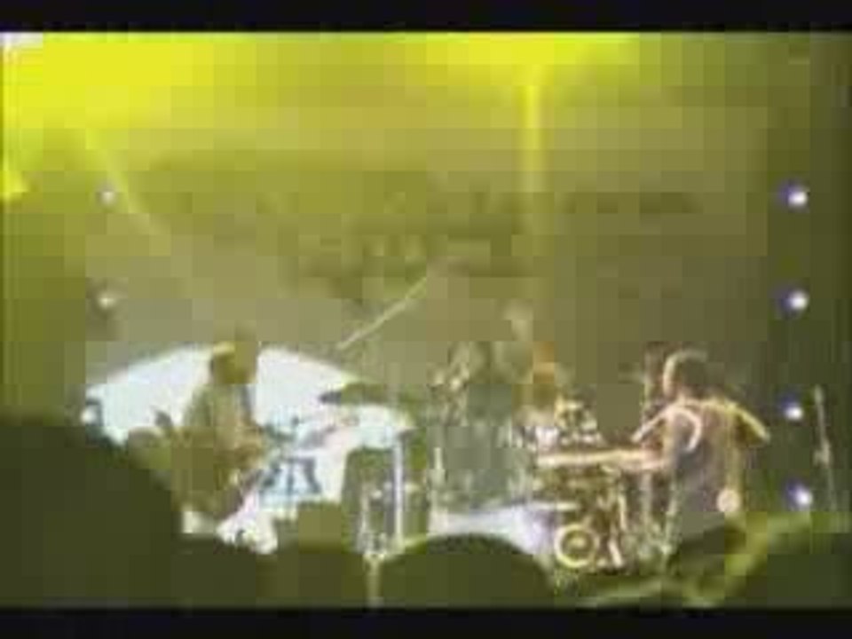 bushman [live]