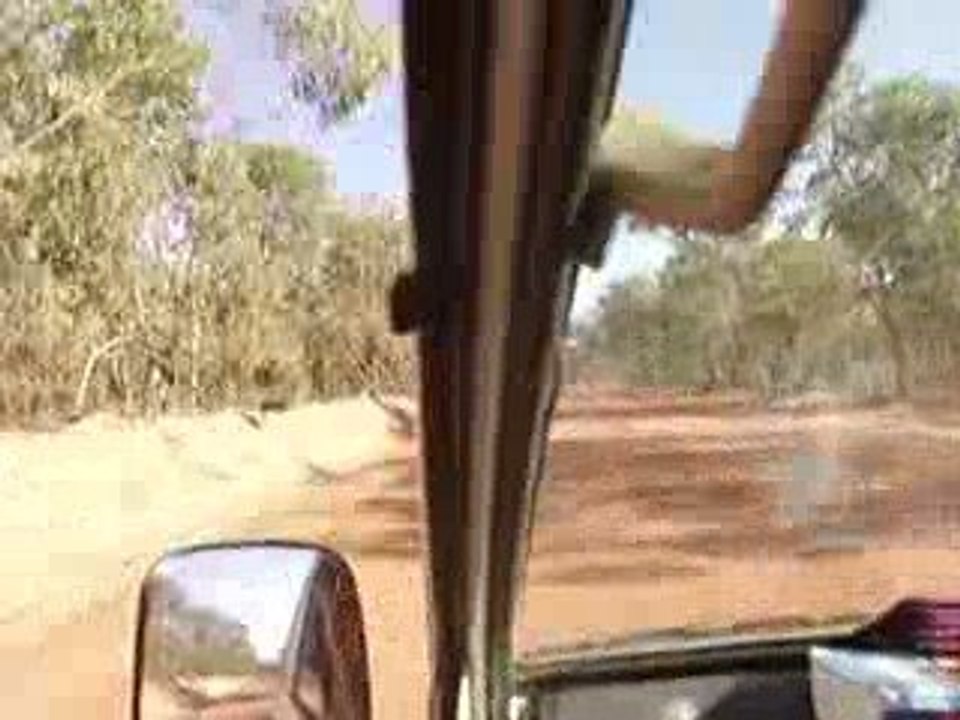Driving on Peninsula Developement Road (Cape York) 1