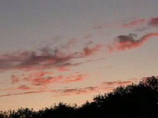 le sommeil des canards