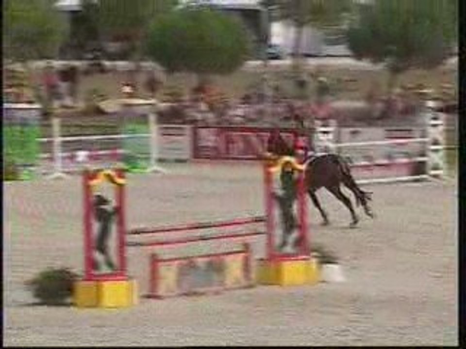 Championnat de France 2009 Club élite