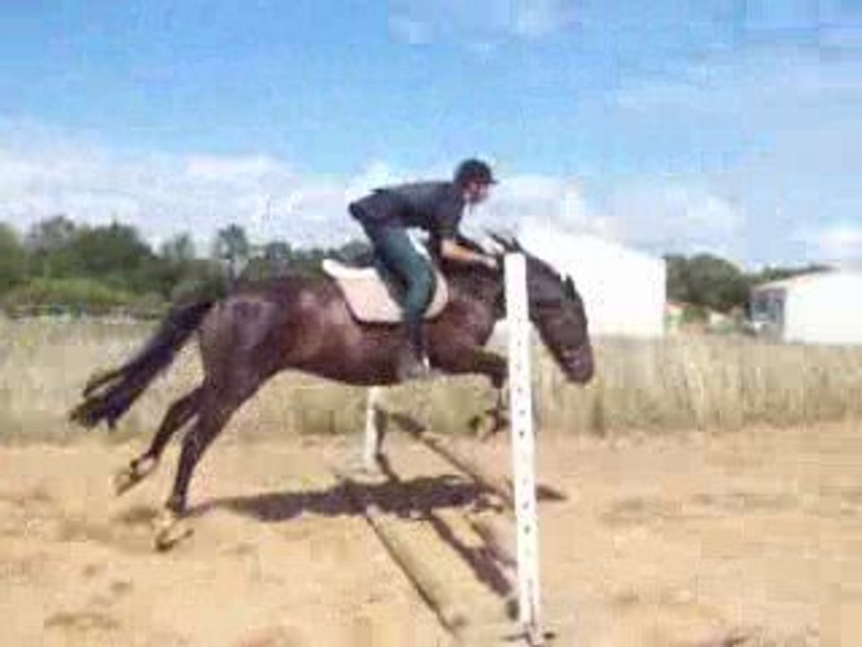 Paname saut