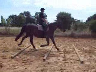 Barres au sol - 1