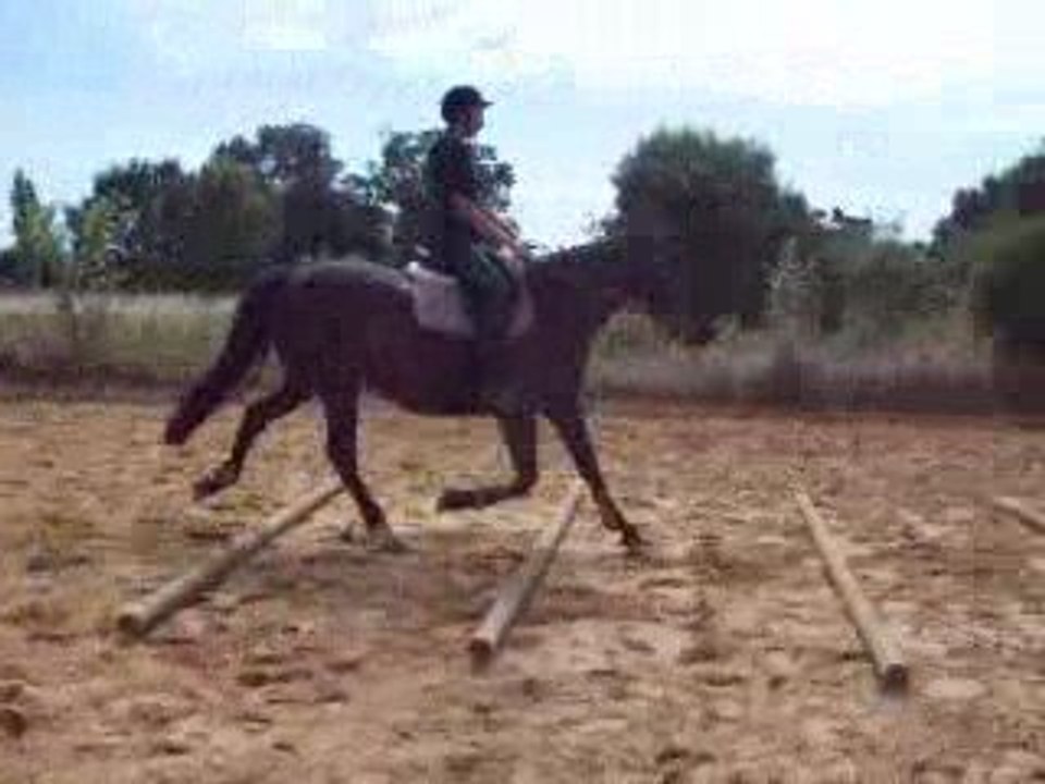 Barres au sol - 1