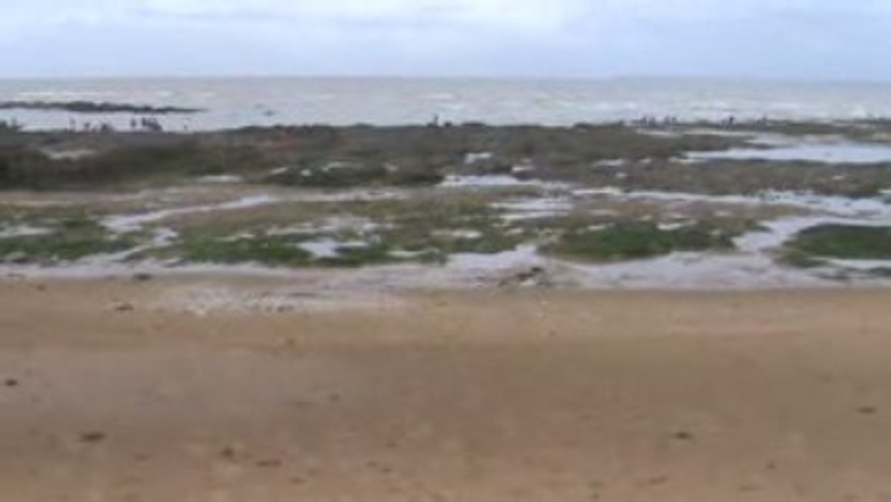 la grande marèe a st michel chef chef