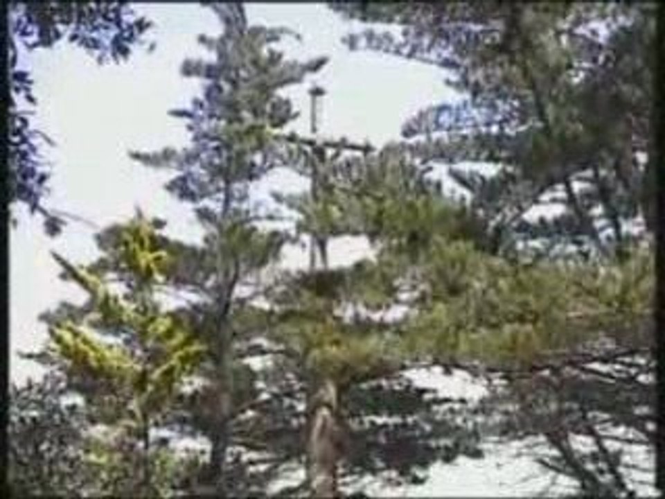 Visite à l'île de Berder