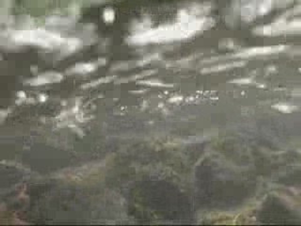 les maitres de l eau et ses secrets 2