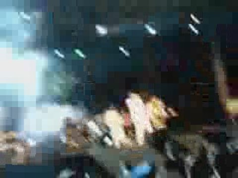 Youssou N'dour Festival Panafricain d'Alger- Panaf 2009 3/3