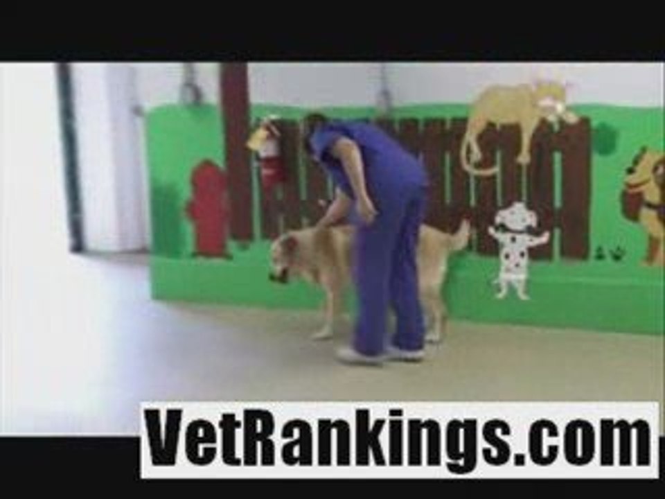 Columbus Veterinary Clinic | Hillview Vets