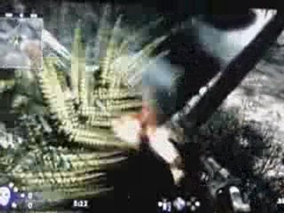 Bugs et glitchs dans call of 5