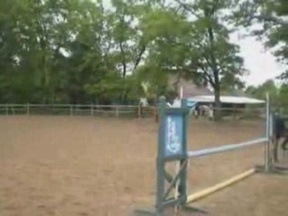 cso et dressage