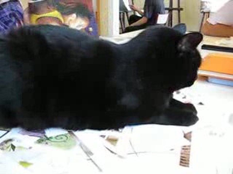 Nelween juillet 2009