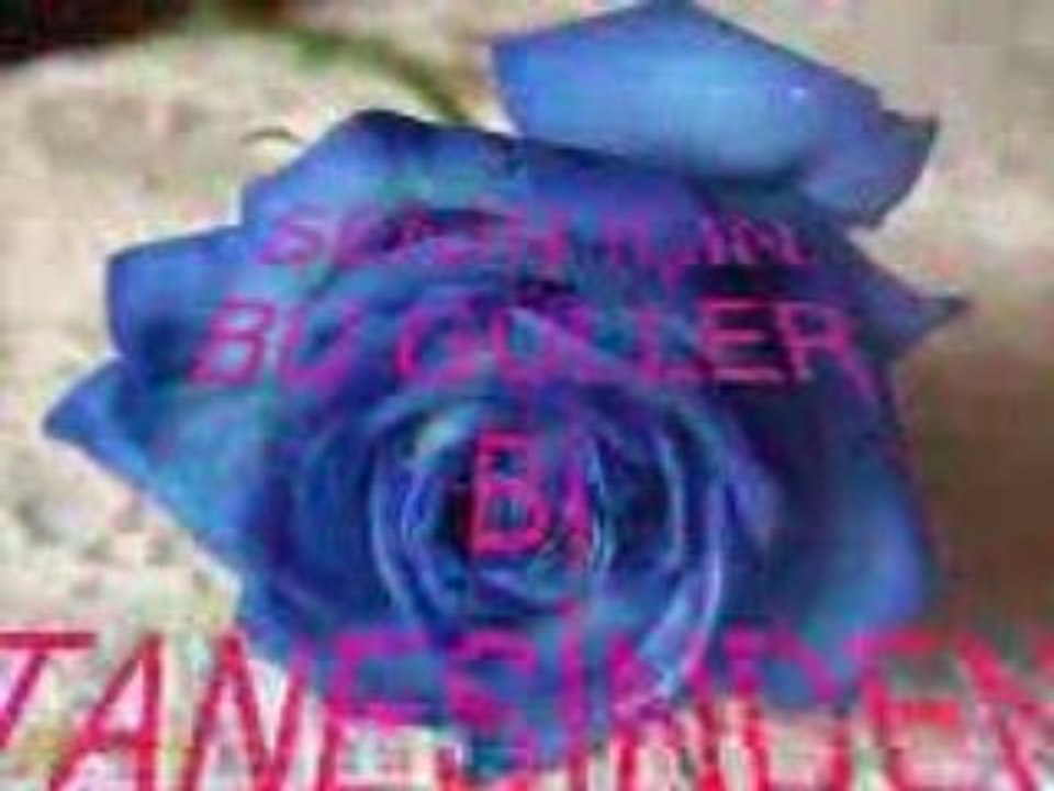 serseriden bitanesine