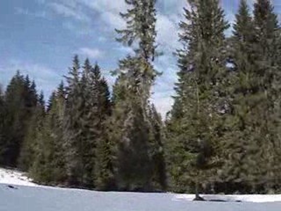 Traineau_003