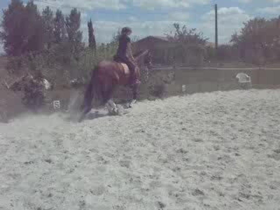 lusi3