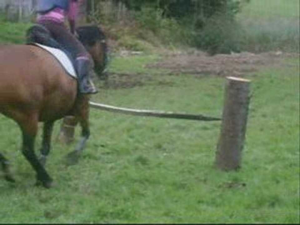 Séance de saut Koto et moi elora et Naiade