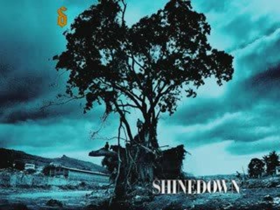 Shinedown *+ Simple man+*