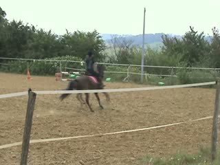 Galop 4 obstacle