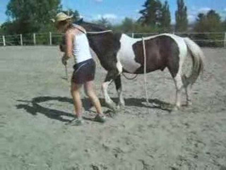 Paditcho pas espagnol