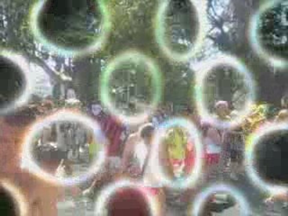 Bay to Breakers 2009 San Francisco