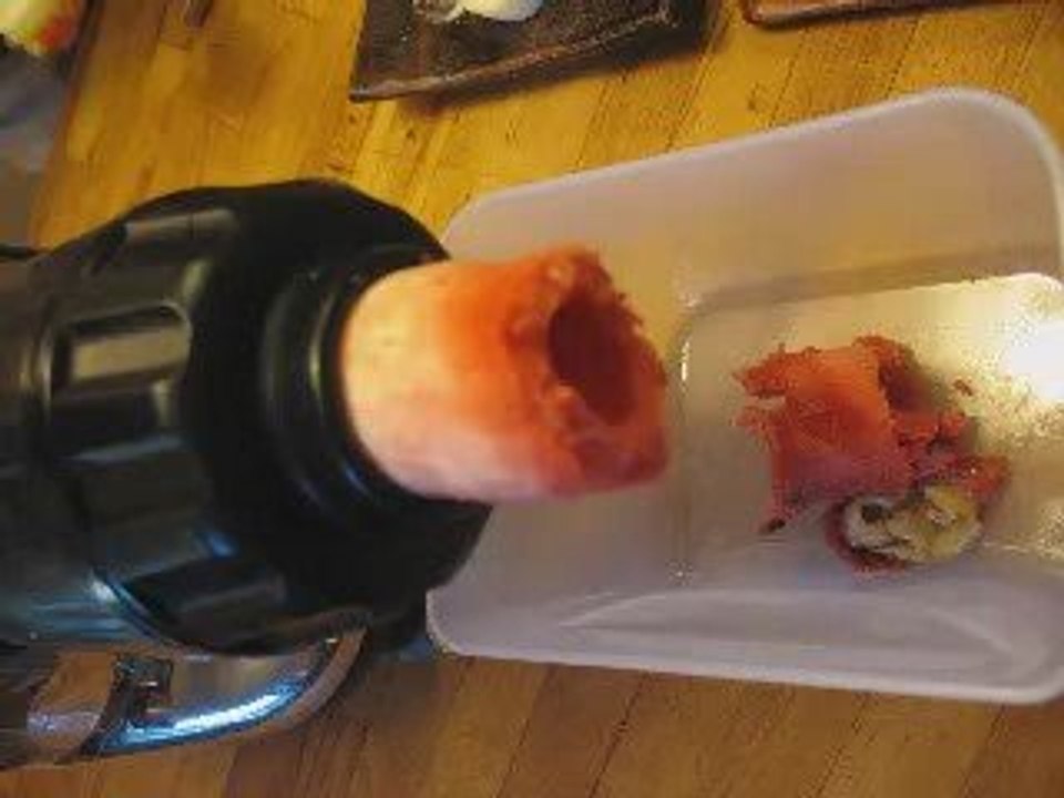 Jazz_Max : les sorbets ou mousses glacées