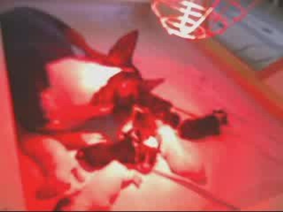Webcam 1248599469034