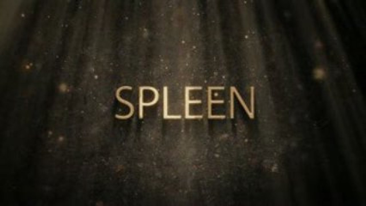 Intro Spleen - 1