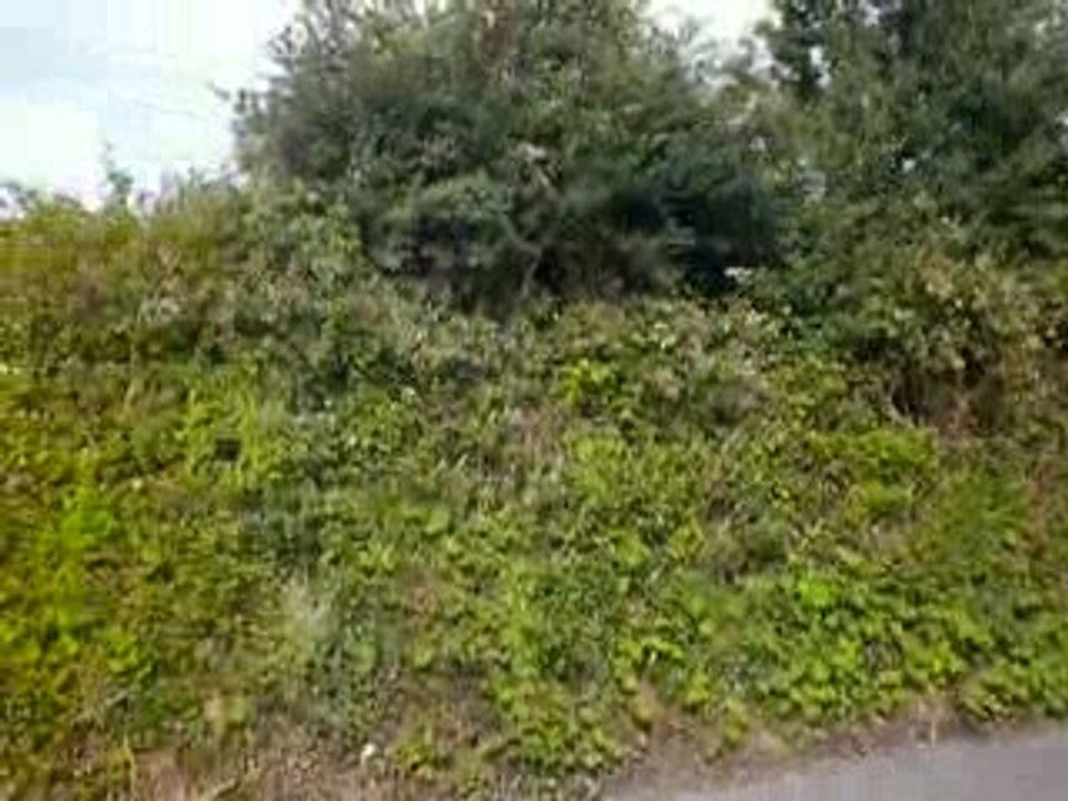 Perdu dans BANDON