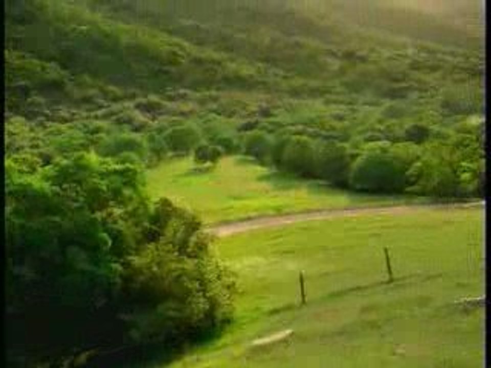 Short, nice movie
