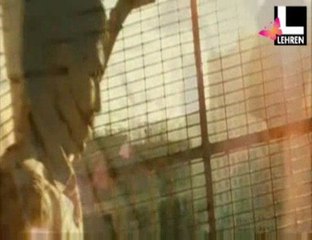 Slumdog Millionaire to cross 20 Crores