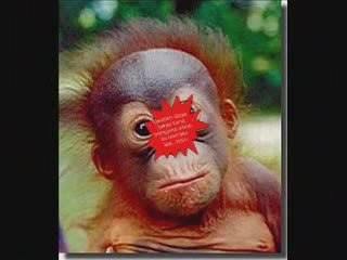 Panas Gambar Ahli Politik Malaysia