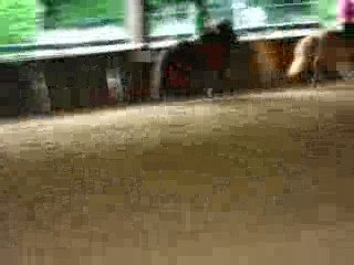 Domitile - Patoche       Albane - Parfaite