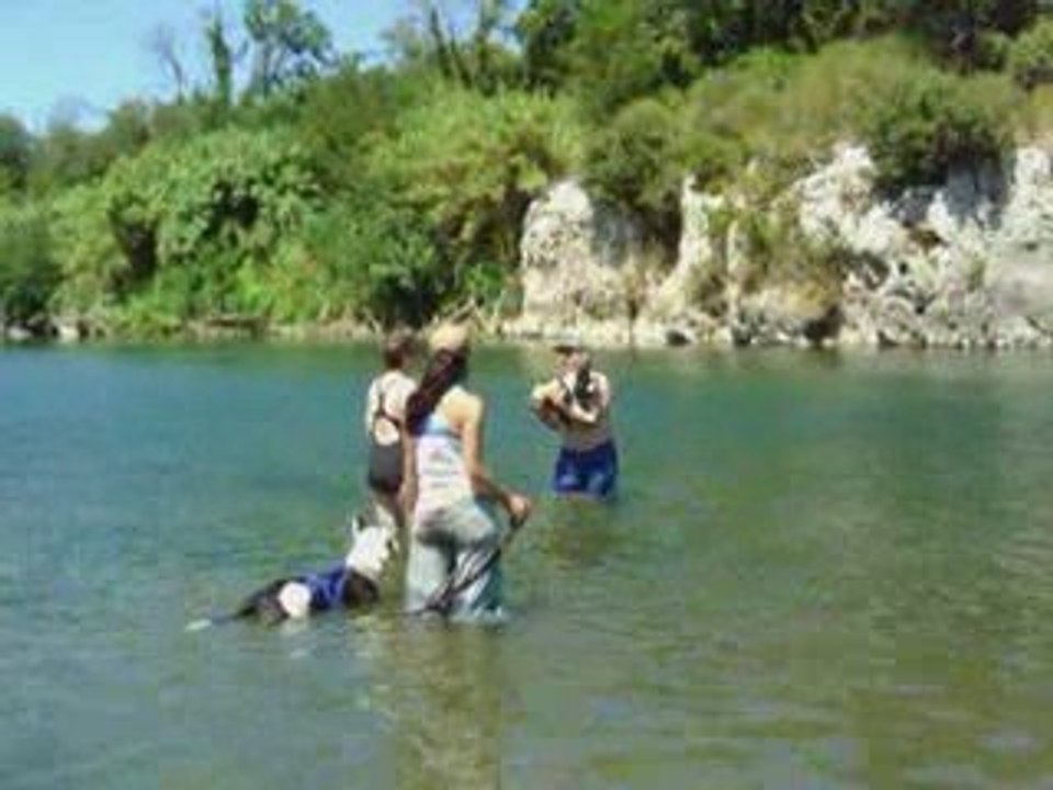 Sortie canoë sur le gardon 25 juillet 2009