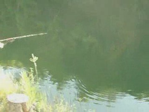 Savaş TATLISOY Antalya Karaöz alabalık avı