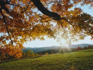 Assa D Ussan Nni  Ce Jour Et Ces Jours Là De Hadi Dahmani