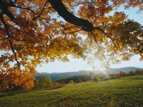Assa D Ussan Nni Ce Jour Et Ces Jours Là De Hadi Dahmani