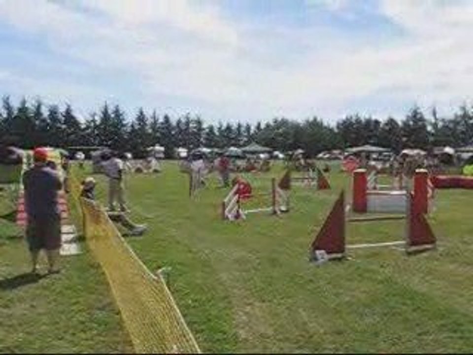 1er concours agility de Coco, 26/07/09, jumping