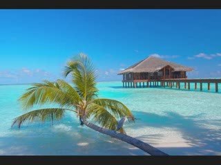 Cutty ft Lil Scrappy