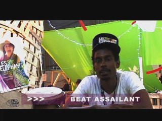 beat assailant live 3 elephants 09 raclosprod graphi_k