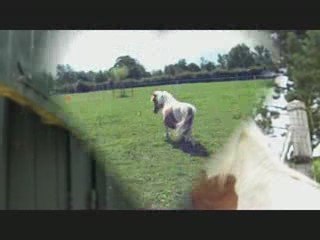 ulrika et apache 180709 1
