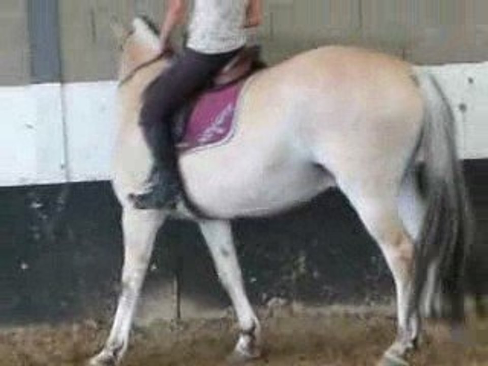 fjord en hanche en dedans