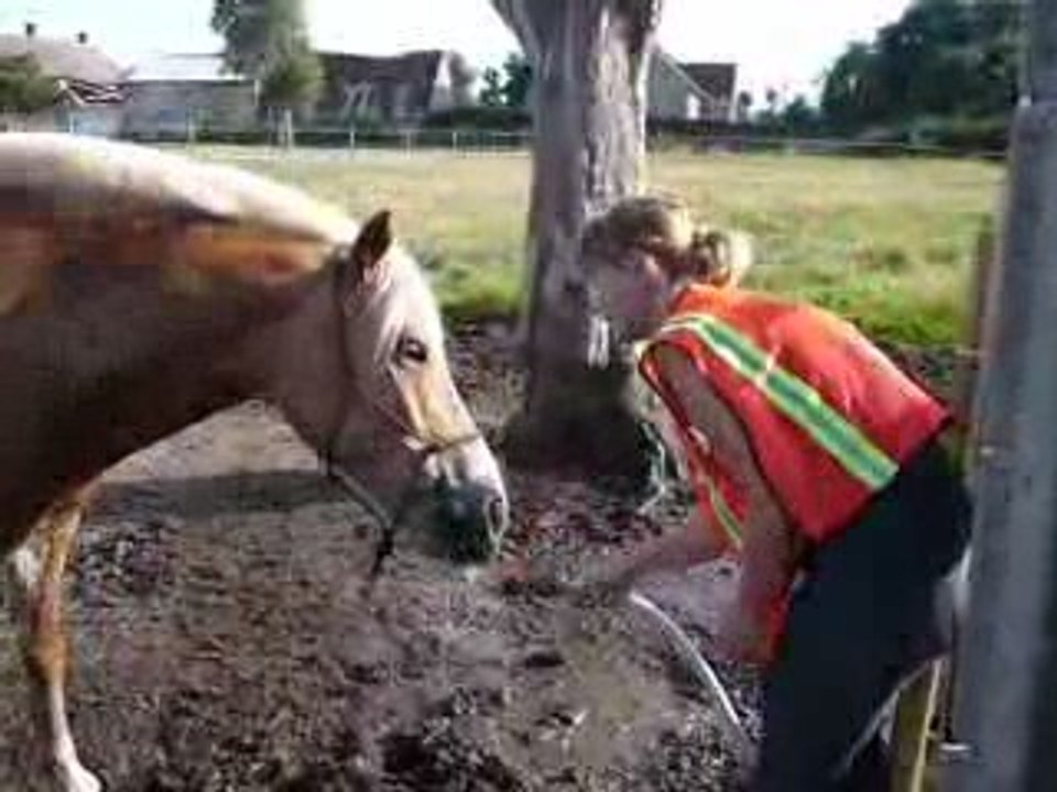 poney nous douche...