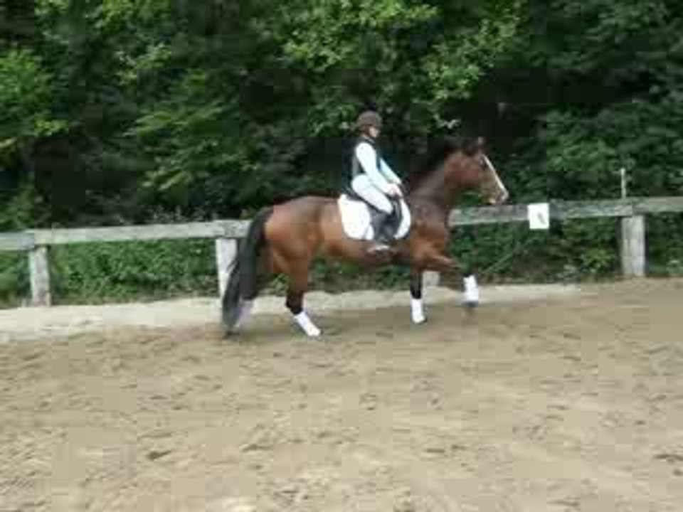 elle et moi au gallop(premiere fois que je la montais)