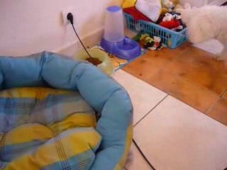 Séance de jeux bounty