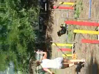 agility caïd + Xav