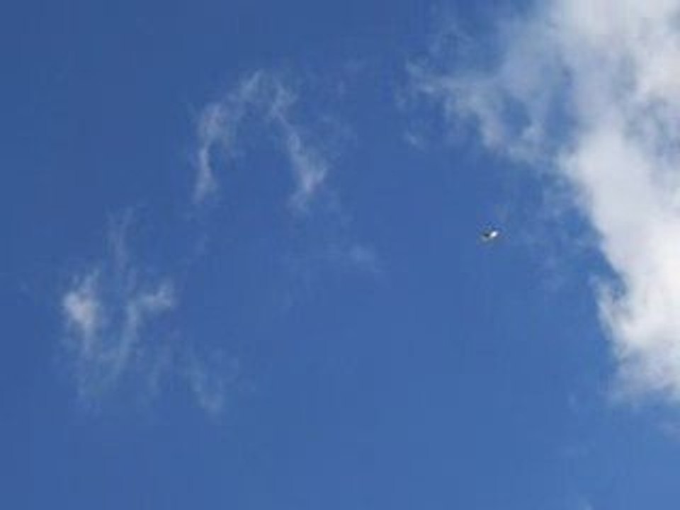 Tolgahan beyaz yavru 2009