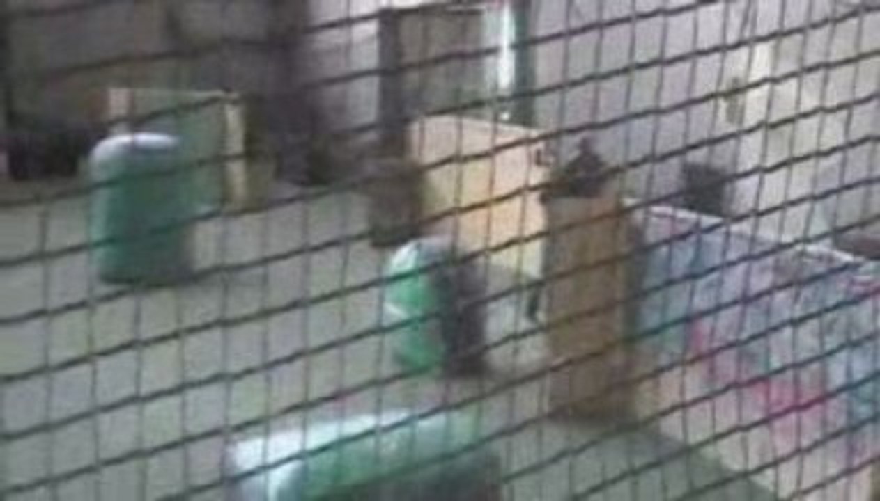 Spc-paintball 07/2009